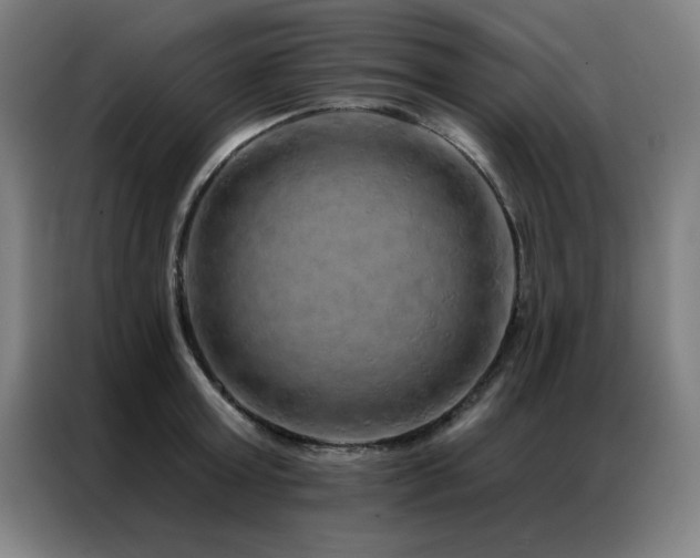X0000087380803200704201244