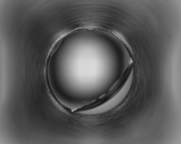 X0000087380805200704201244