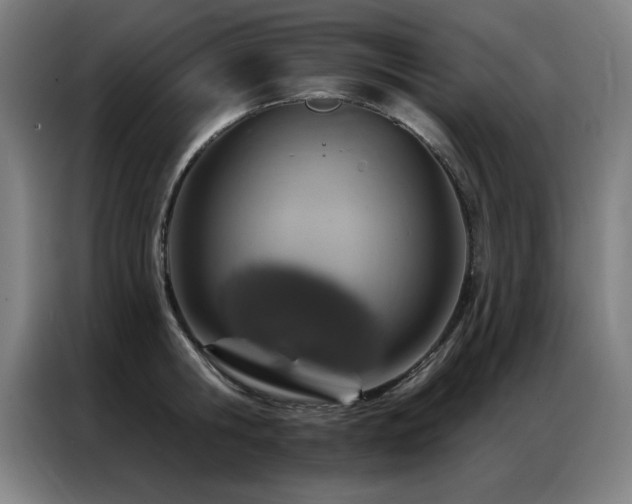 X0000087380806200704201244
