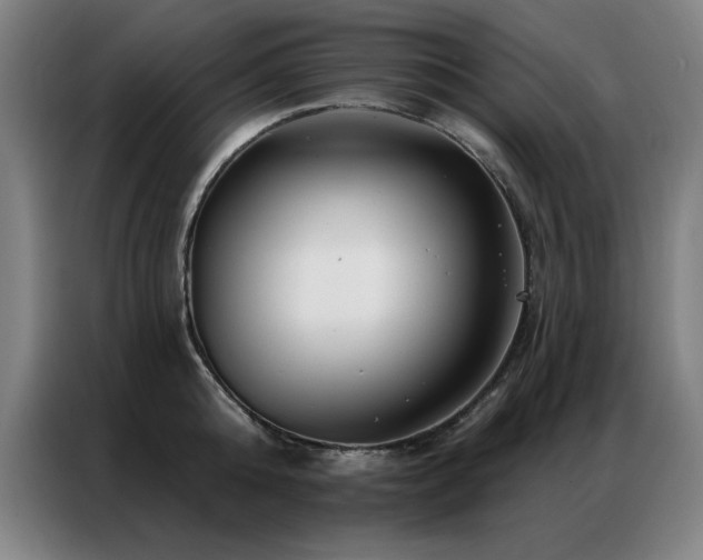 X0000087380808200704201244