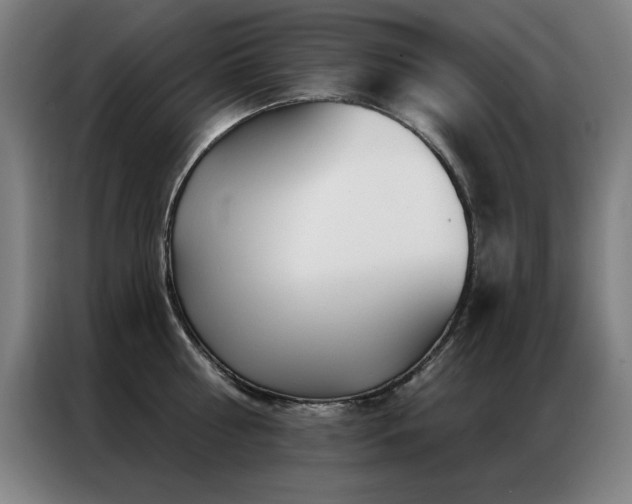 X0000087380810200704201244