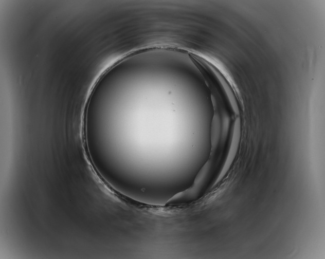 X0000087380815200704201244