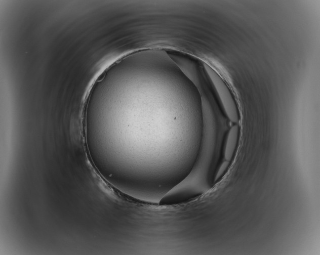 X0000087380816200704201244