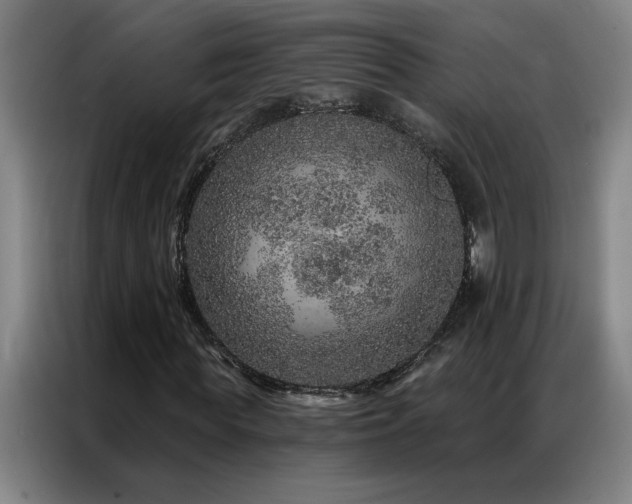 X0000087380819200704201244