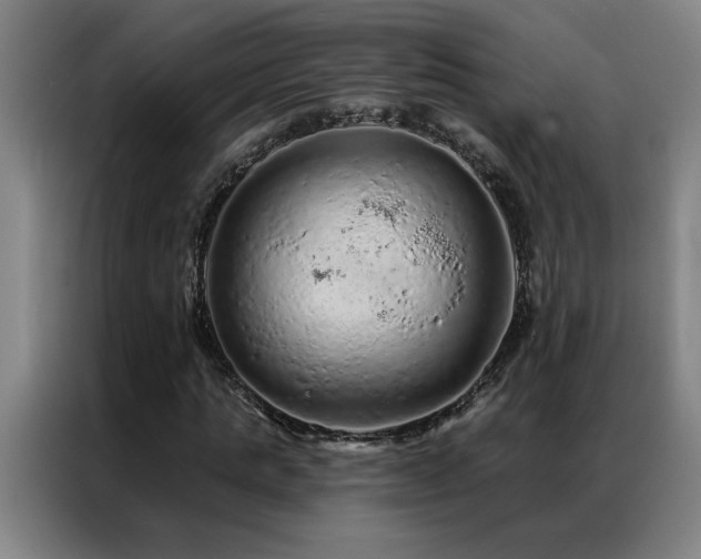 X0000087380821200704201244
