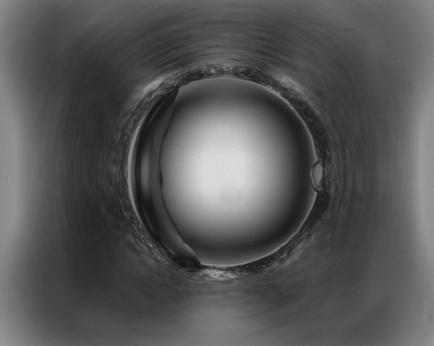X0000087380822200704201244