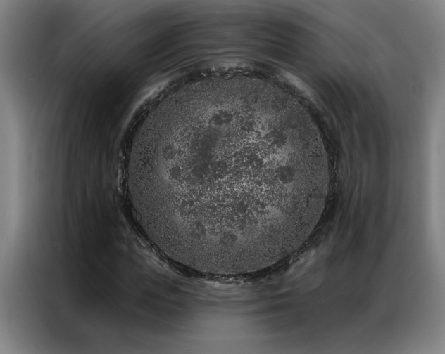 X0000087380823200704201244