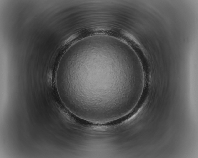 X0000087380825200704201244