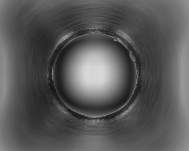 X0000087380826200704201244