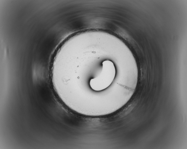 X0000087380828200704201244