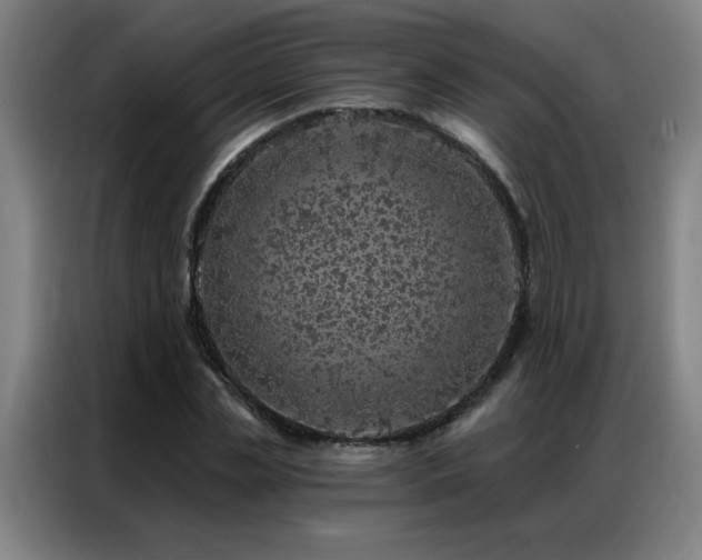 X0000087380829200704201244