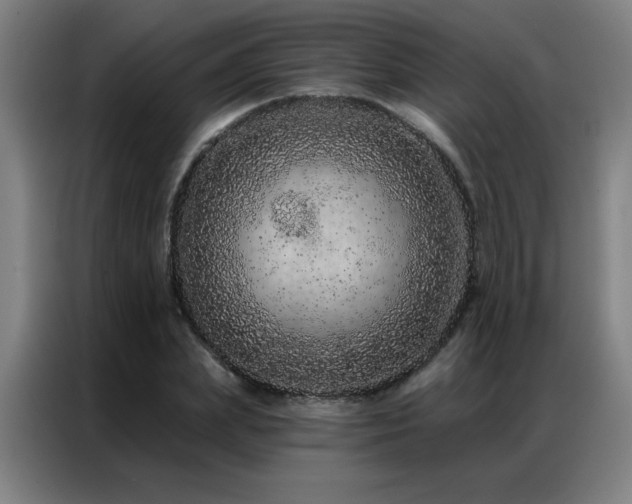 X0000087380831200704201244
