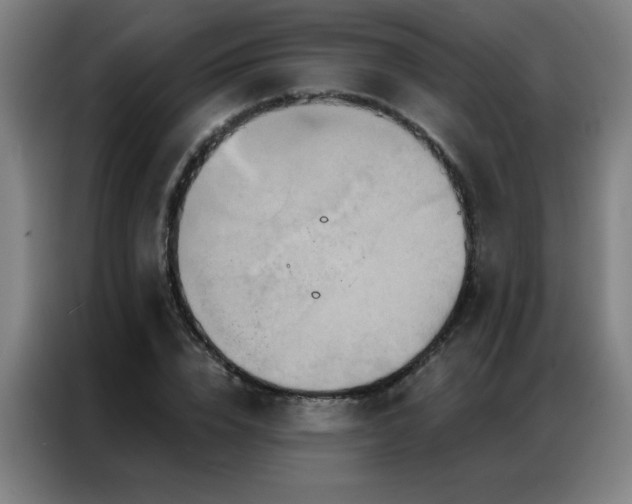 X0000087380832200704201244