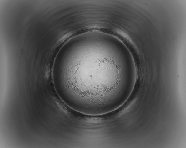 X0000087380833200704201244