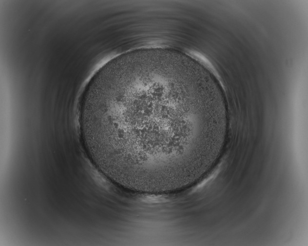 X0000087380835200704201244
