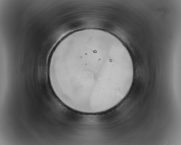 X0000087380836200704201244