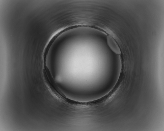 X0000087380838200704201244