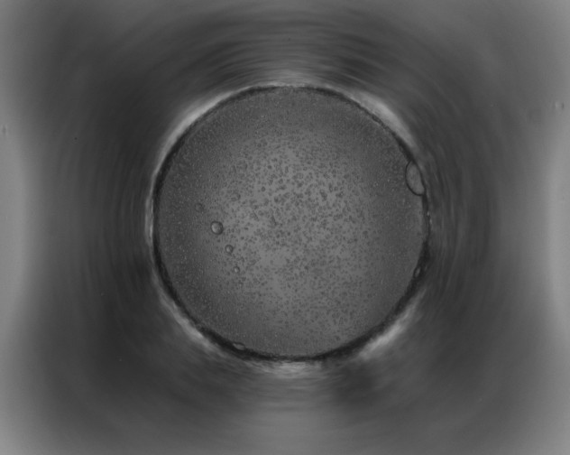 X0000087380839200704201244