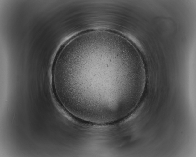 X0000087380840200704201244