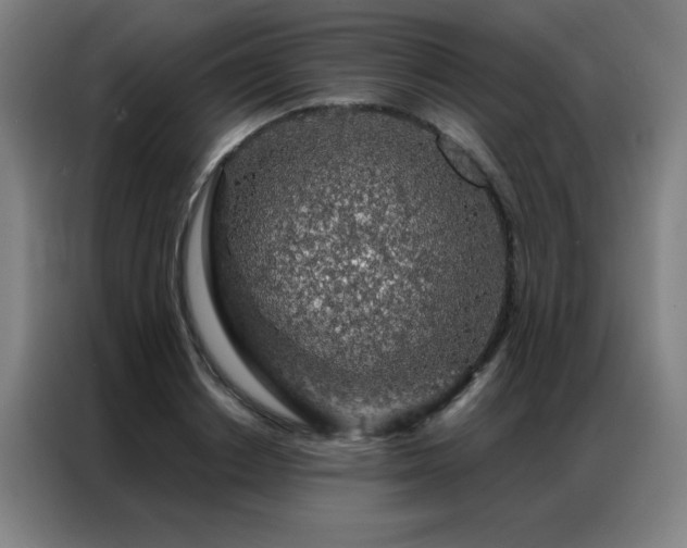 X0000087380842200704201244