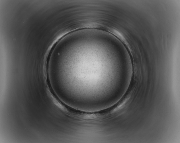 X0000087380843200704201244