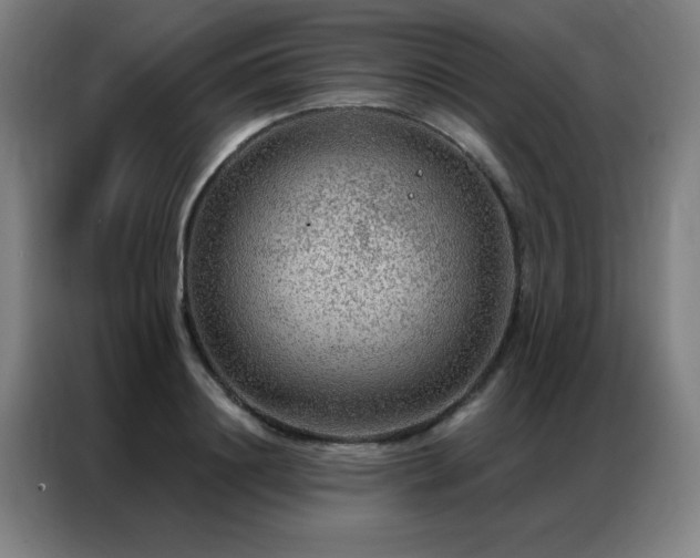 X0000087380844200704201244