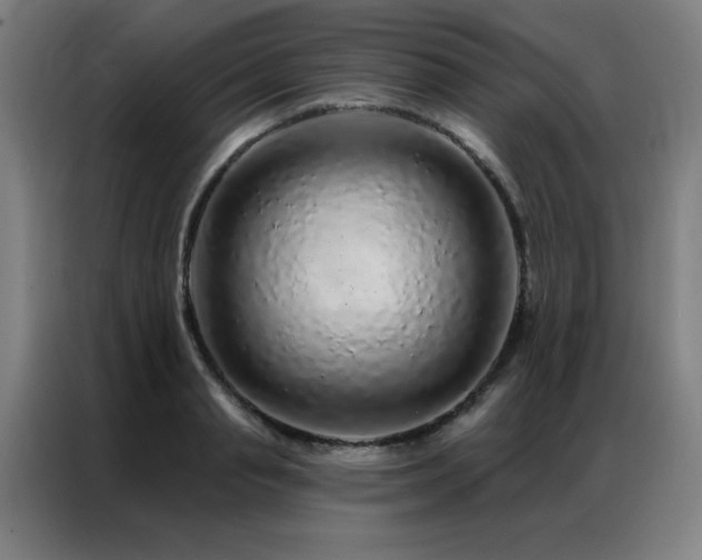 X0000087380845200704201244