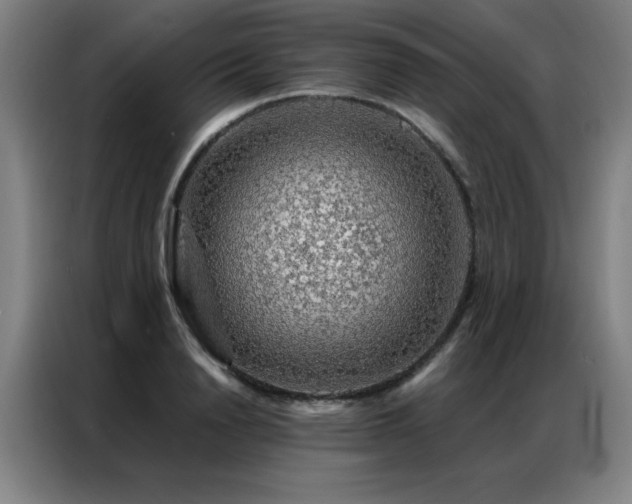 X0000087380846200704201244