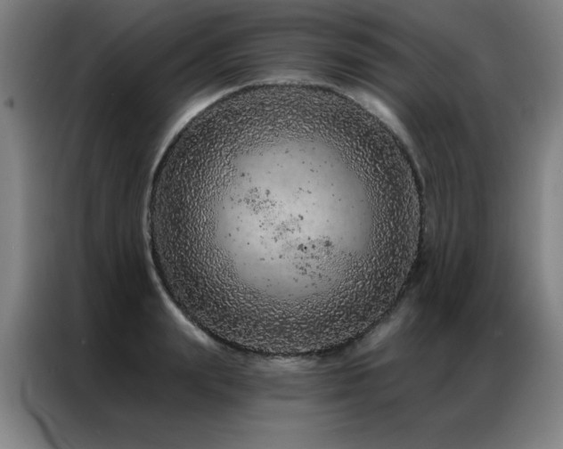 X0000087380847200704201244