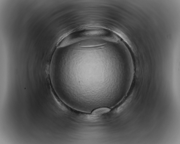 X0000087380849200704201244