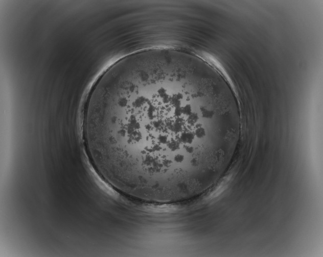 X0000087380851200704201244