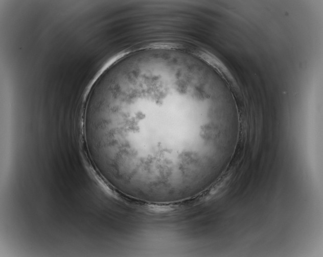 X0000087380852200704201244