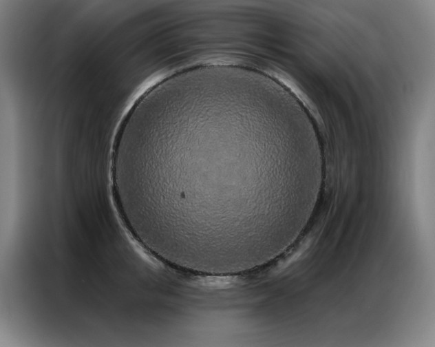 X0000087380853200704201244