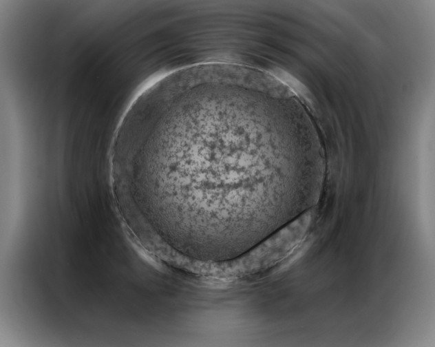 X0000087380854200704201244