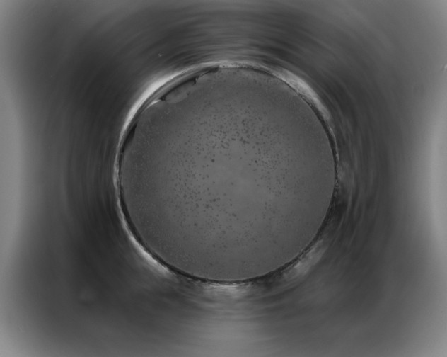 X0000087380855200704201244