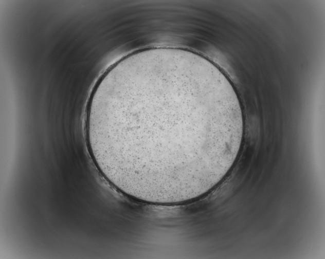 X0000087380856200704201244