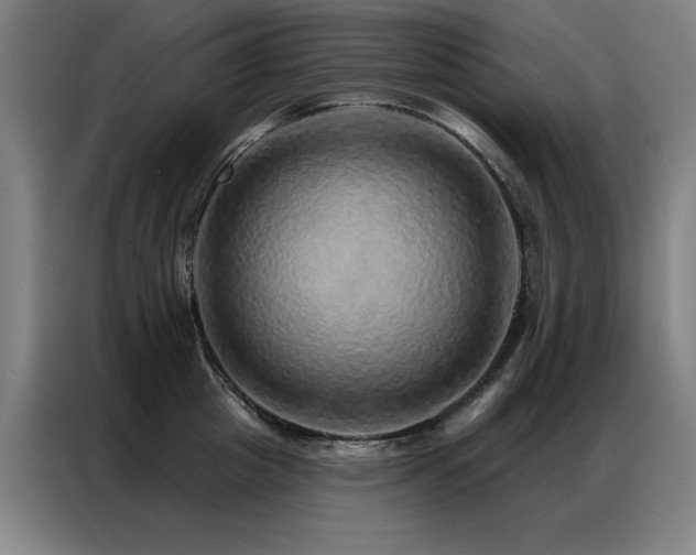 X0000087380857200704201244