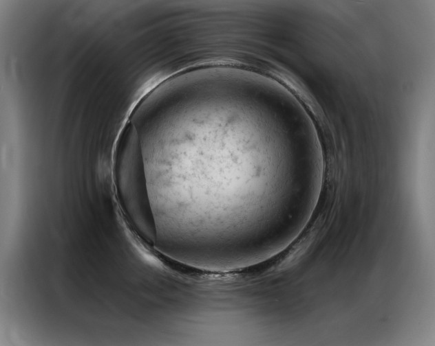 X0000087380858200704201244