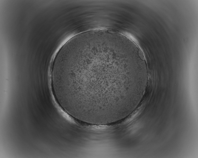 X0000087380859200704201244
