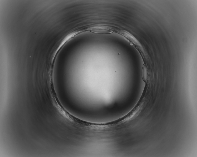 X0000087380860200704201244