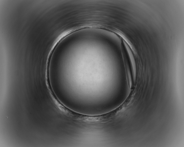 X0000087380861200704201244