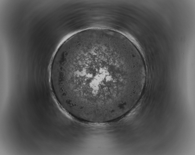 X0000087380862200704201244