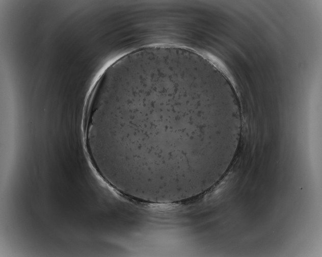 X0000087380863200704201244