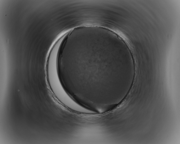 X0000087380864200704201244