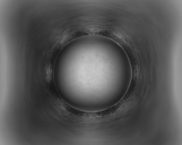 X0000087380866200704201244