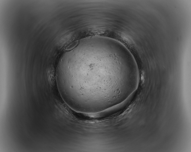 X0000087380867200704201244