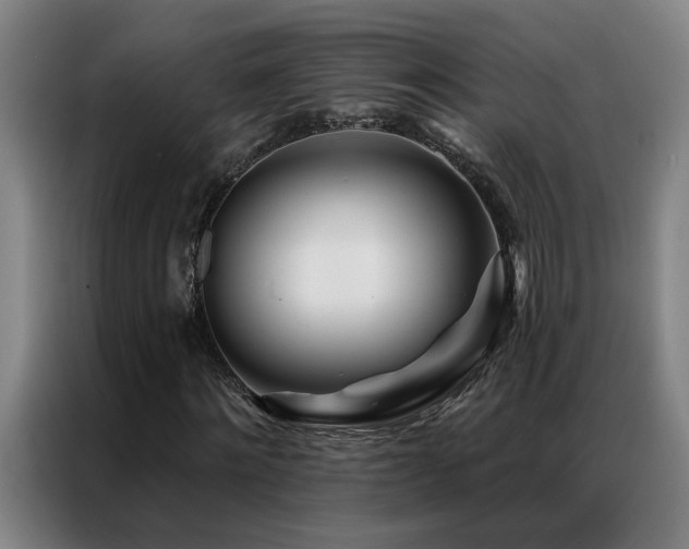 X0000087380868200704201244