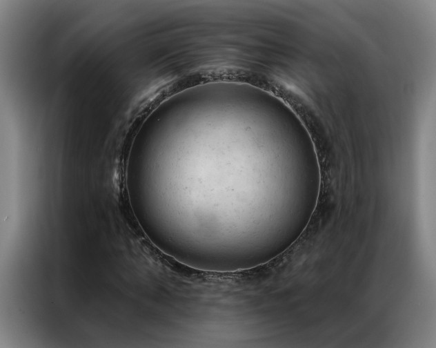 X0000087380870200704201244