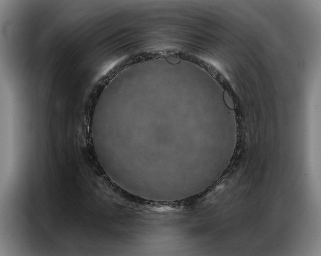 X0000087380871200704201244