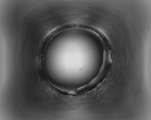 X0000087380872200704201244